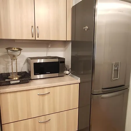 Jaukus Apartamentai Dariaus Ir Gireno G Holiday home Palanga