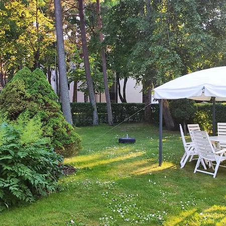 Jaukus Apartamentai Dariaus Ir Gireno G *
