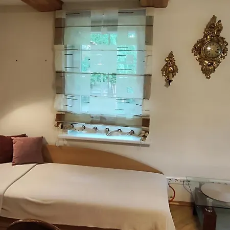 Jaukus Apartamentai Dariaus Ir Gireno G Holiday home Palanga