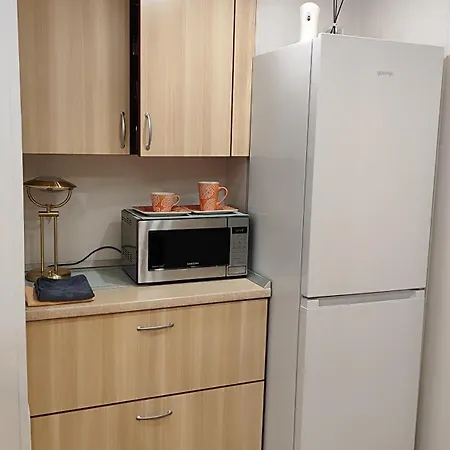 Jaukus Apartamentai Dariaus Ir Gireno G Palanga